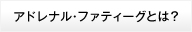 アドレナル・ファティーグとは？